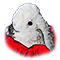image001.png