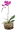 圖片 1